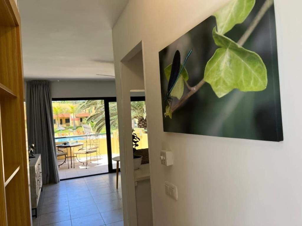 קורלחו Atlantic Garden Andrew Apartments Pool Air Conditioning מראה חיצוני תמונה